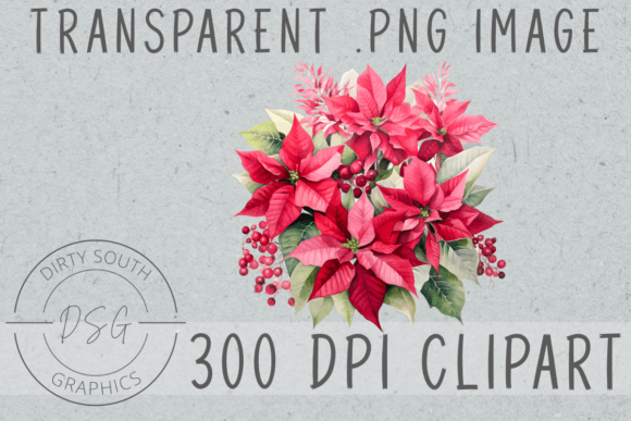 A Festive Graphic Designer's Review of Christmas Poinsettia Arrangements